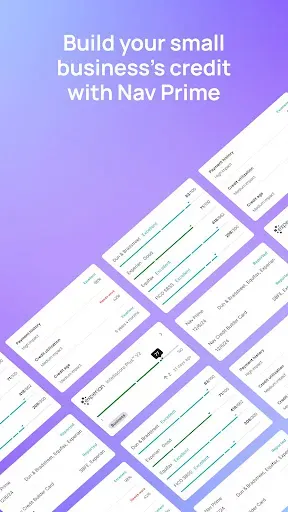 Скриншот 3 — Nav Business Credit Builder