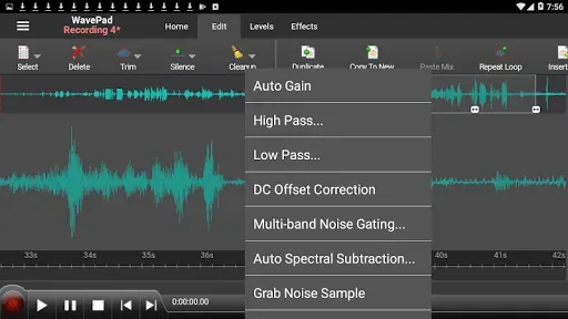 Скриншот 4 — WavePad Audio Editor