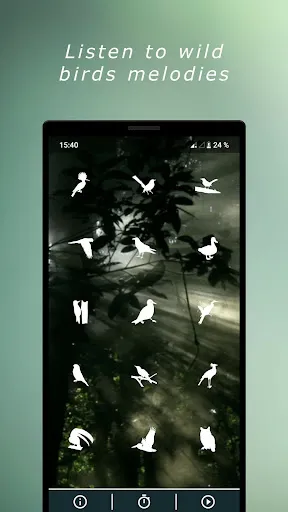 Скриншот 1 — Звуки птиц