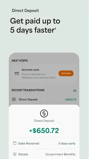 Скриншот 2 — Netspend