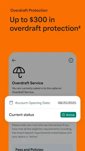 Скриншот 3 — Netspend