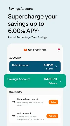 Скриншот 4 — Netspend