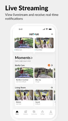 Скриншот 1 — Netvue Next - In Sight In Mind