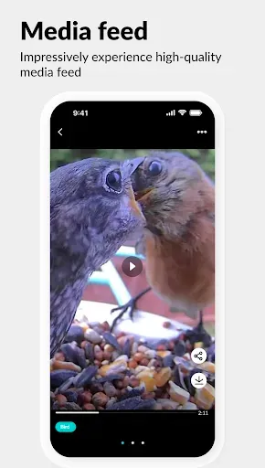 Скриншот 4 — Netvue Next - In Sight In Mind
