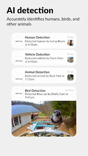 Скриншот 5 — Netvue Next - In Sight In Mind