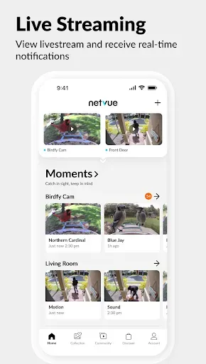 Скриншот 6 — Netvue Next - In Sight In Mind