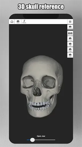 Скриншот 5 — Face Model - 3D Head pose tool