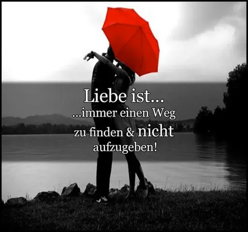 Скриншот 2 — Sprüche und Zitate