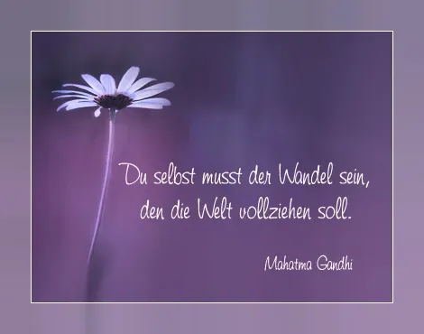 Скриншот 6 — Sprüche und Zitate