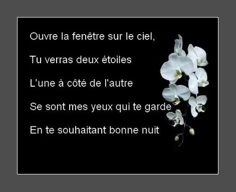 Скриншот 5 — Bonne Nuit