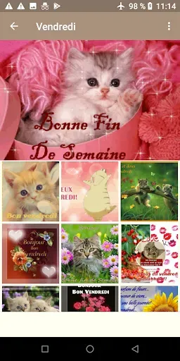 Скриншот 6 — Jours de la semaine français