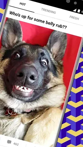 Скриншот 2 — 9GAG: Funny GIF, Meme & Video