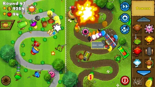 Скриншот 3 — Bloons TD 5