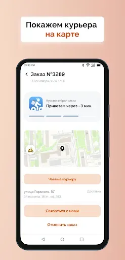 Скриншот 2 — Ninja Pizza