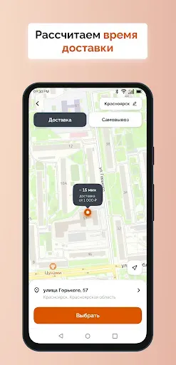 Скриншот 3 — Ninja Pizza