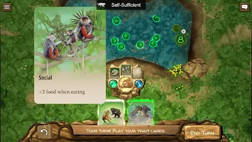 Скриншот 1 — Nature Board Game