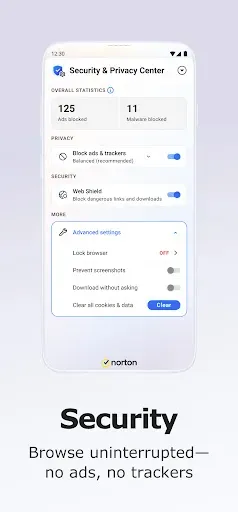 Скриншот 1 — Norton Private Browser