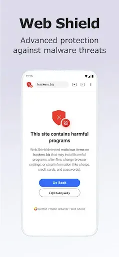 Скриншот 2 — Norton Private Browser