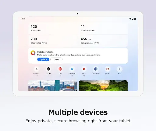 Скриншот 5 — Norton Private Browser