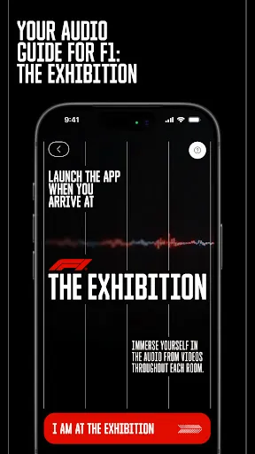 Скриншот 1 — F1® Exhibition: Companion