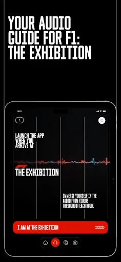 Скриншот 5 — F1® Exhibition: Companion