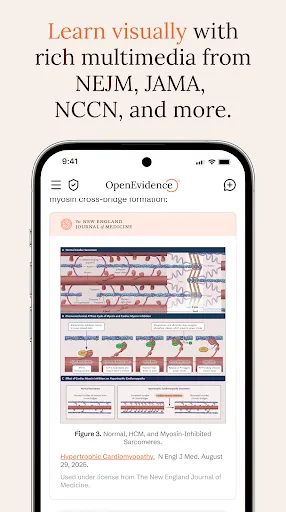 Скриншот 4 — OpenEvidence