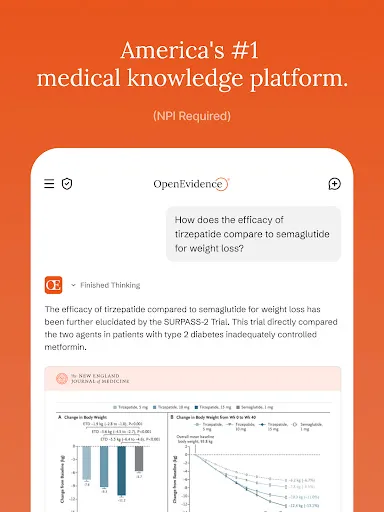 Скриншот 6 — OpenEvidence