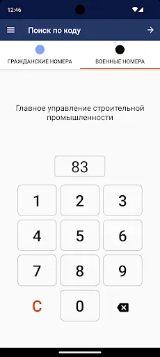 Скриншот 2 — Коды регионов России