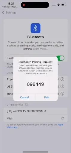 Скриншот 2 — Bridge - iPhone Companion App