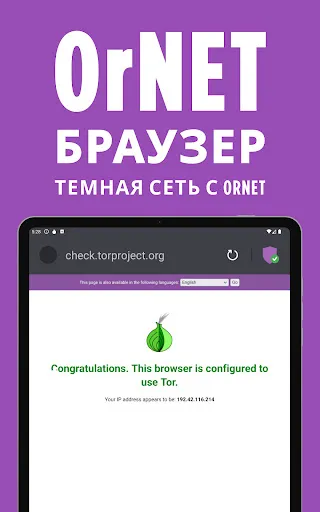 Скриншот 5 — OrNET браузер