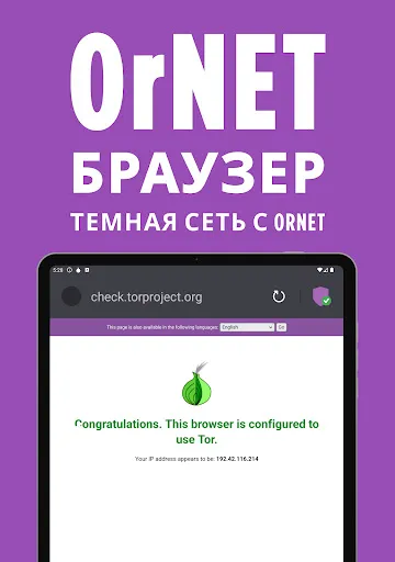 Скриншот 8 — OrNET браузер