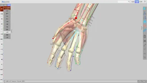 Скриншот 5 — Acupoints
