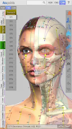Скриншот 7 — Acupoints