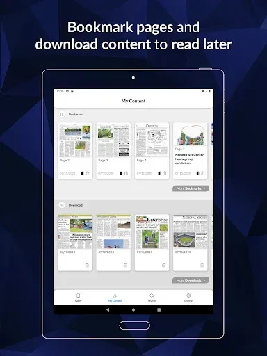Скриншот 8 — Park Rapids Enterprise E-paper