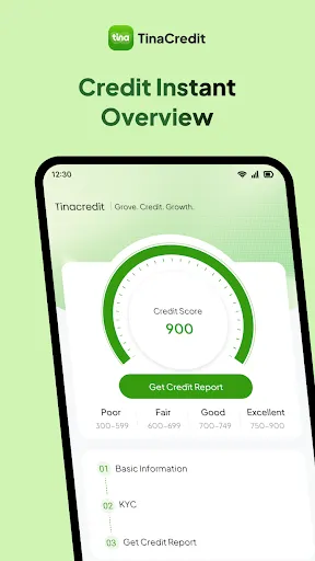 Скриншот 5 — TinaCredit - Credit Assistant