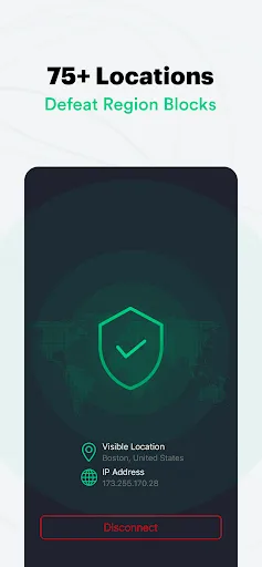 Скриншот 4 — PC Matic VPN