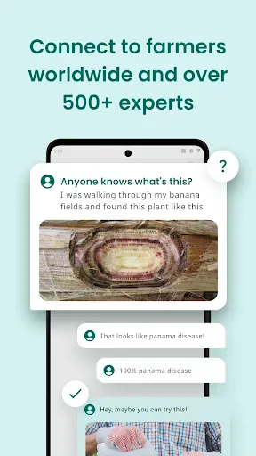 Скриншот 3 — Plantix - your crop doctor