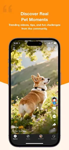 Скриншот 6 — DBDD: Pet Tracker & Assistant