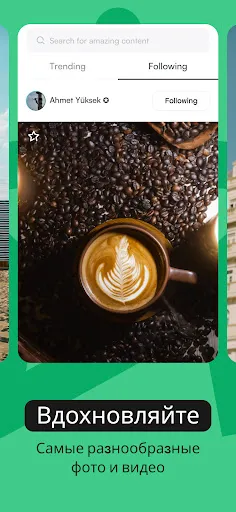 Скриншот 2 — Pexels