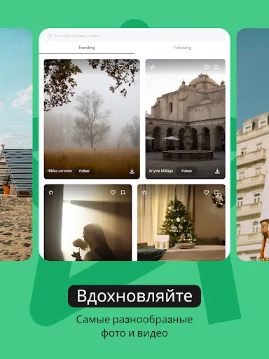 Скриншот 7 — Pexels