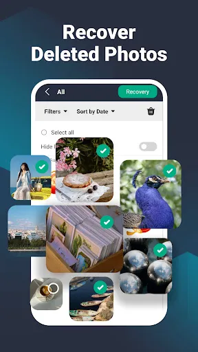 Скриншот 2 — Photo Recover Pro-File Restore