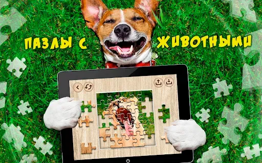 Скриншот 8 — Пазлы для взрослых офлайн
