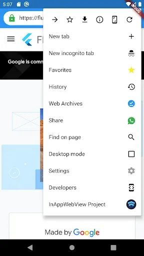 Скриншот 2 — Flutter Browser