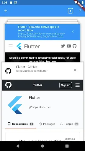 Скриншот 3 — Flutter Browser