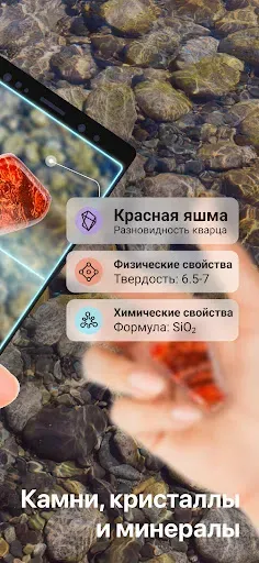 Скриншот 2 — Rock Identifier - Stone ID