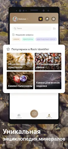Скриншот 4 — Rock Identifier - Stone ID