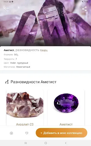 Скриншот 8 — Rock Identifier - Stone ID
