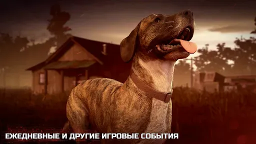 Скриншот 5 — Into the Dead 2