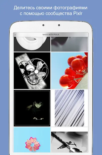Скриншот 8 — Pixlr AI Photo & Video Editor