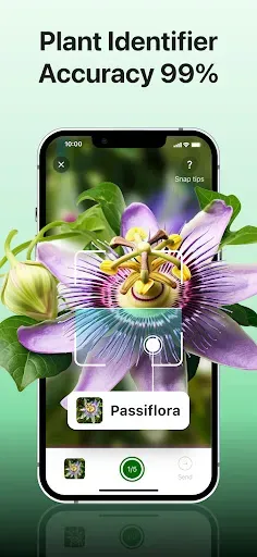 Скриншот 1 — Plant disease identifier